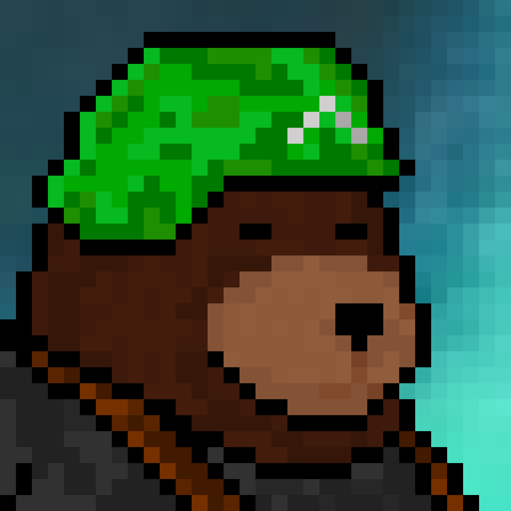 Cyberbear 20